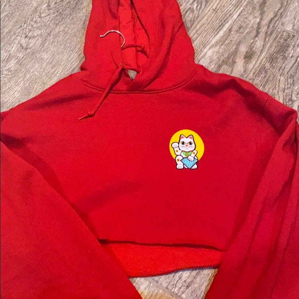Diamond Supply Co. cropped hoodie